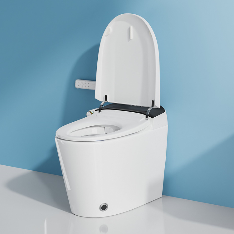 家庭装飾浴室スマート電子自動洗浄センサー付き水洗トイレ - Electronics For Home のレビューと価格